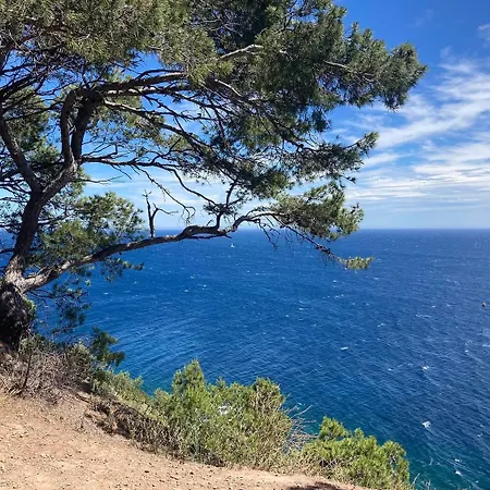 Jardin * Saint-Mandrier-sur-Mer